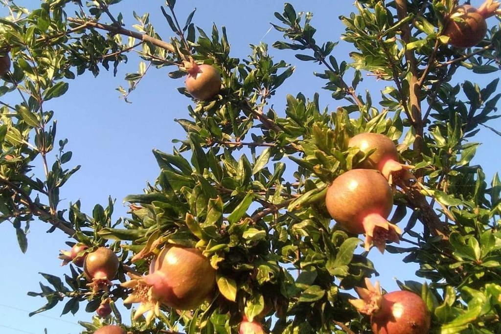 Pomegranate Seaside Corner Villa Fanárion Buitenkant foto